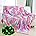 Glow in The Dark Blanket  3 4 5 6 7 8 9 10 11 12 Year Old Gift